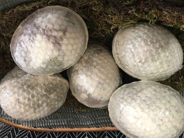 Bath Fizzie Dragon Egg